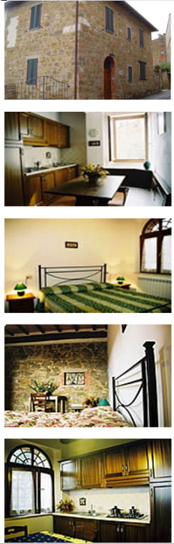 Montalcino Area - VILLA MONTALCINO 4 Apartments - 2 sleeps 2+2, 1 sleeps 2+1, 1 sleeps 4)